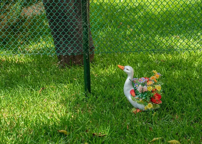 Ira's House Holiday home Sami (Kefalonia)